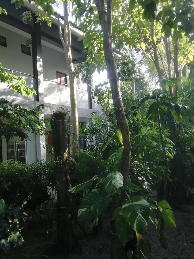 剧院别墅 邦沙潘 外观 照片