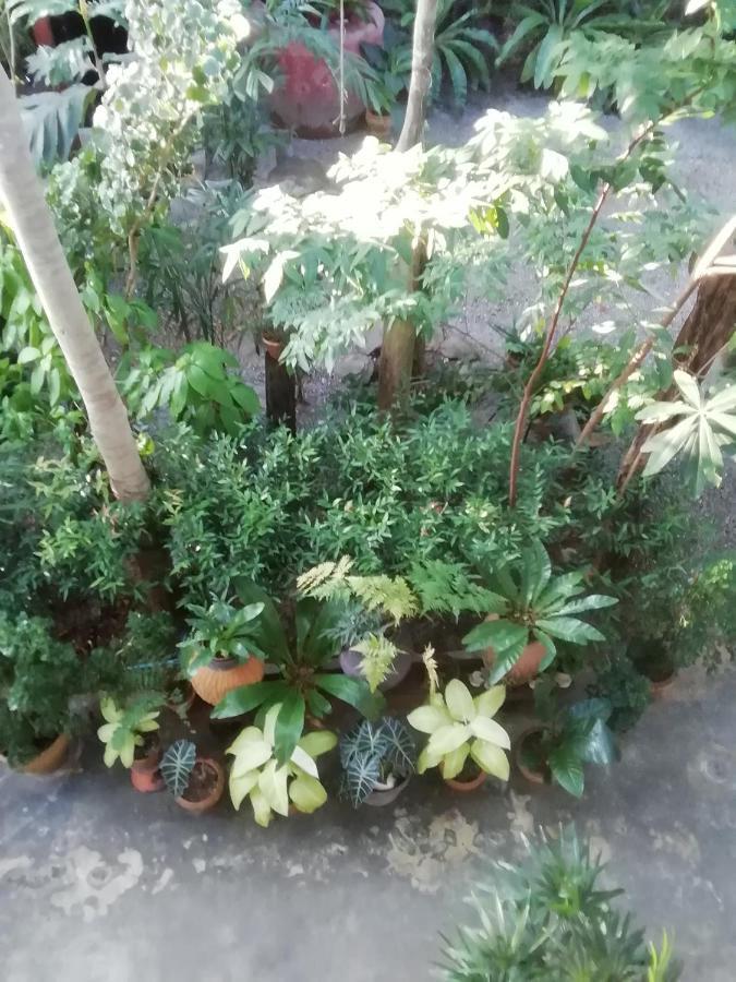 剧院别墅 邦沙潘 外观 照片